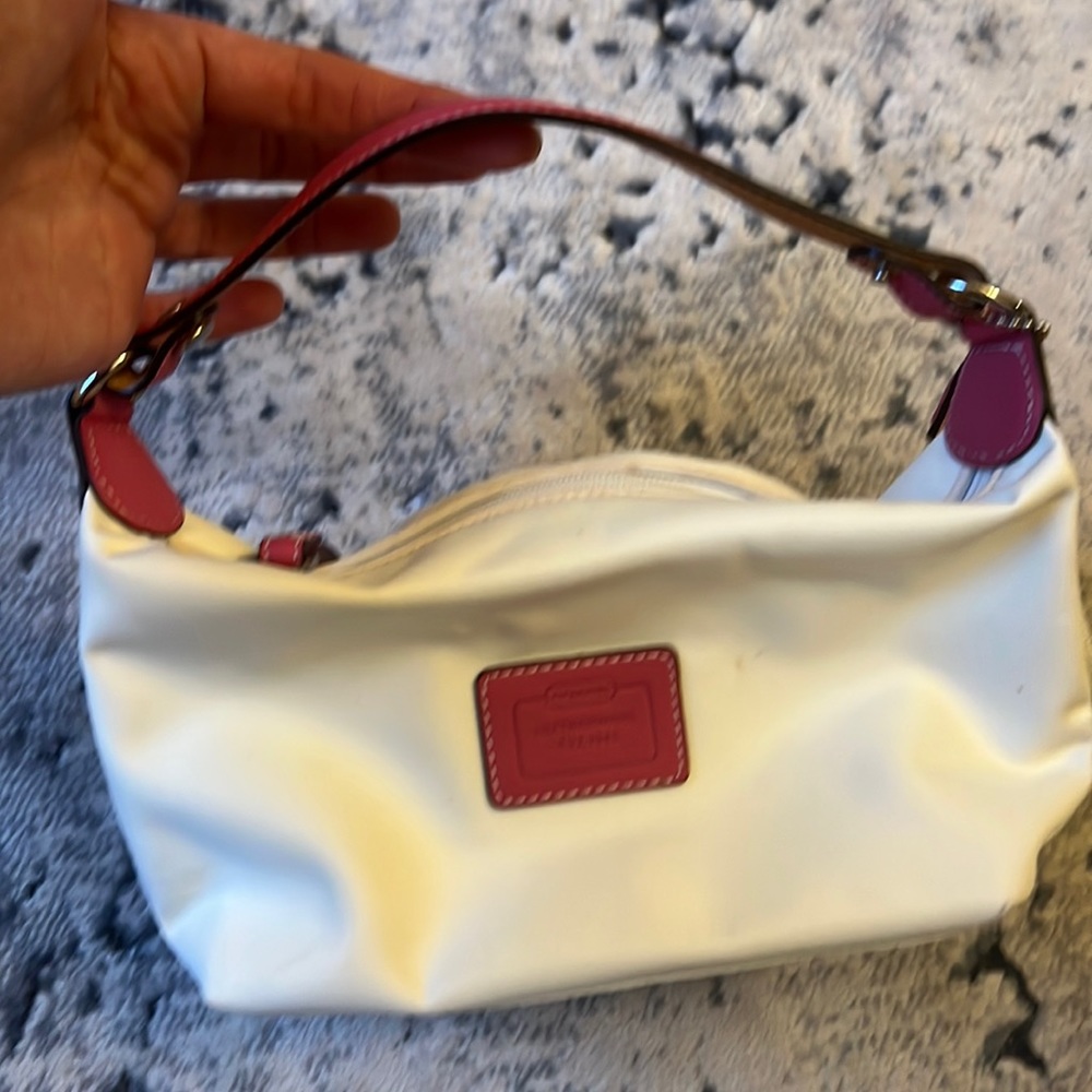 Coach Mini Pouch